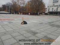 Exif_JPEG_420