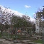 Image4