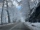 ЗАТВАРЯТ ПРОХОДА ПЕТРОХАН НА 23 И 24 АПРИЛ