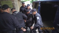 Image1 (1)