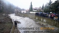 Image1 (5)