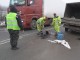 СПЕШНО ЗАПЪЛВАТ ДУПКИТЕ НА ПЪТЯ МОНТАНА – ВРАЦА