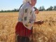 РЕКОРДНИ ДОБИВИ ОТ ПШЕНИЦА  В ОБЛАСТТА